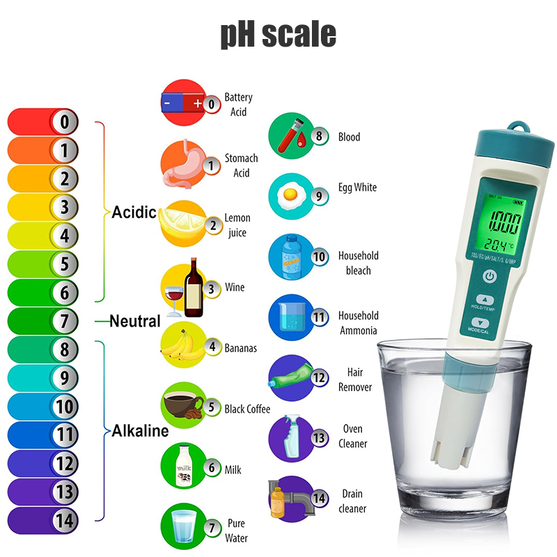 WESTTUNE Digital PH Meter 7 In - Ph Meter Digital Water Tester review and price