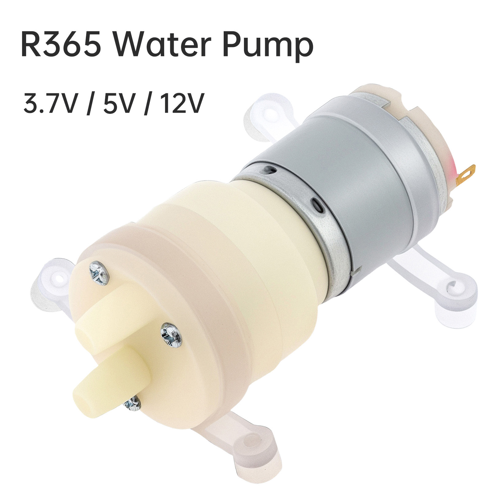 R365 Micro Water Pump Motor DC - Mini Peristaltic Pump 12V review and price