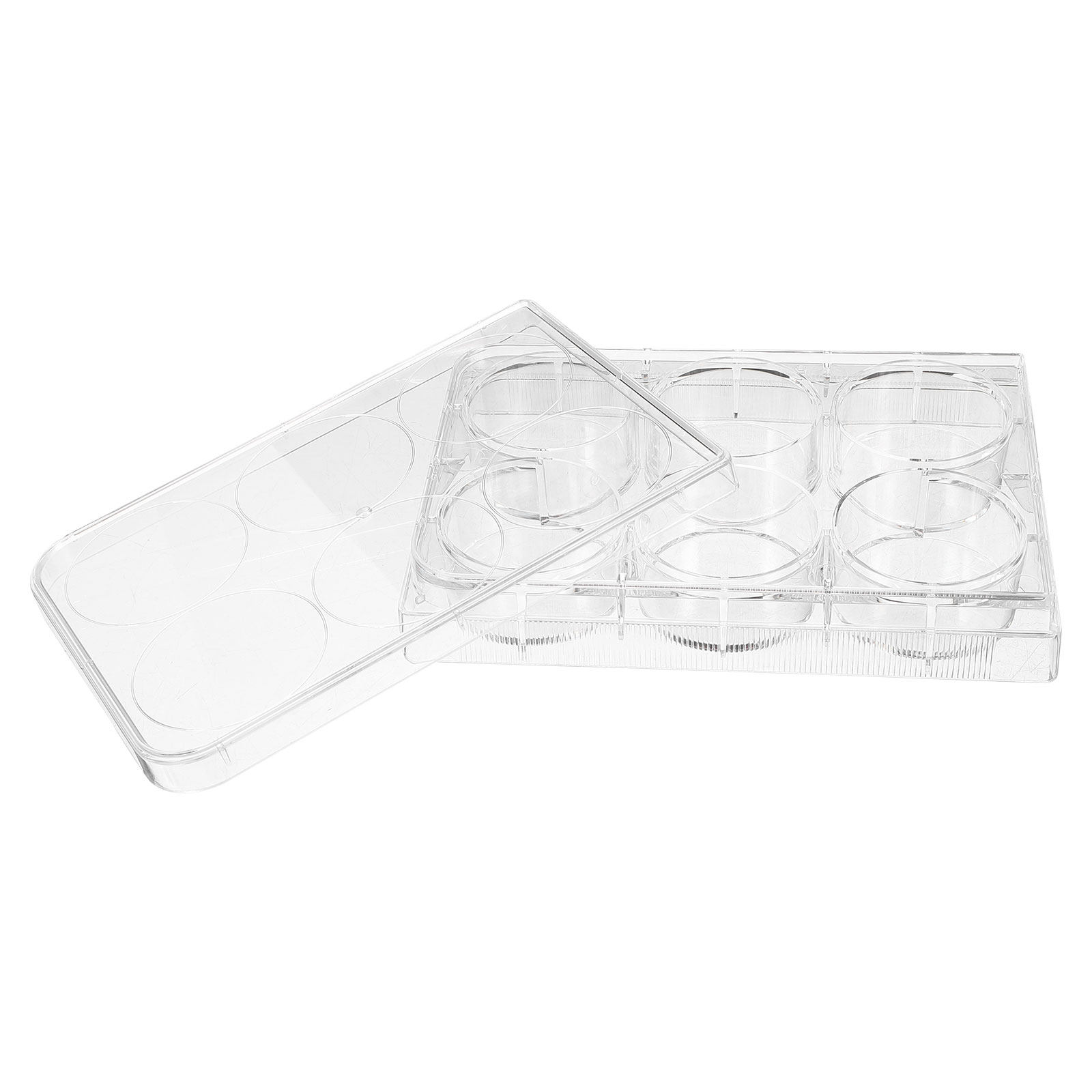 Tissue Culture Plate Lab Durab - Lab Equipment review and price