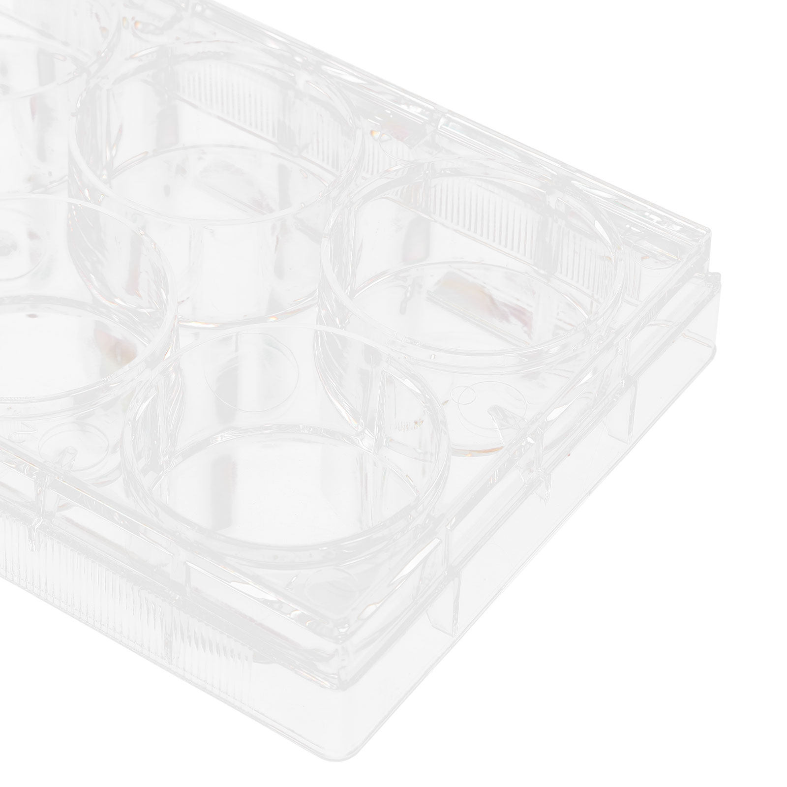 Tissue Culture Plate Lab Durab - Lab Equipment review and price
